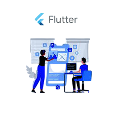 Professional Flutter App Development Services