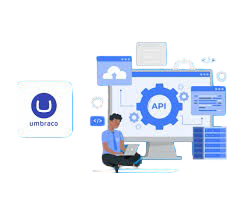 Professional Umbraco Development Services